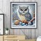 5D Owl Diamond Painting Kit for Adults – Full Drill DIY Rhinestone Art Kit for Beginners – Sparkly Owl Diamond Art for Home Wall Decor – 14x14 Inch Gem Painting Craft Set